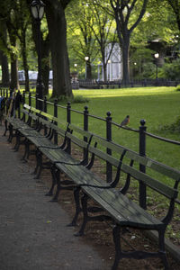 Empty bench in park