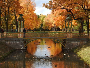 Arch bridge over lake during autumn