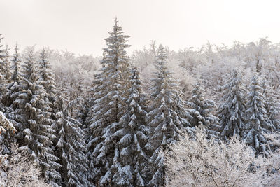 Winter landscape of the mountain.