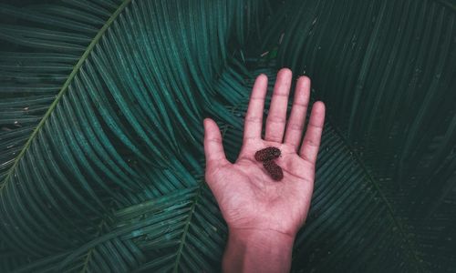 Cropped hand with fruits over leaves