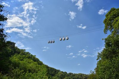 Low angle view of airshow against sky