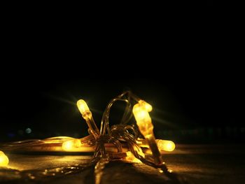 Close-up of illuminated horse against black background