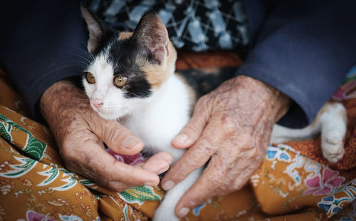 Midsection of man with cat