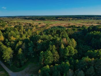 High angle view of trees on landscape against sky