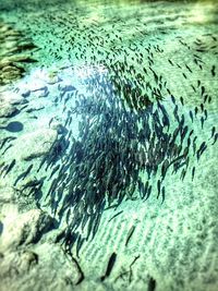 Full frame shot of water surface