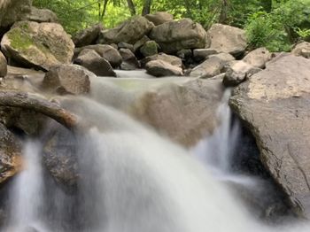 Scenic view of waterfall in forest
