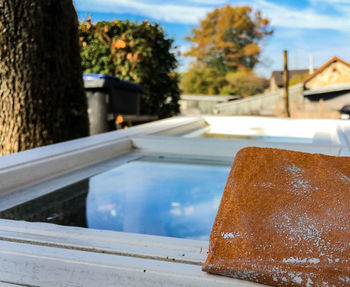 Close-up of food on table against trees