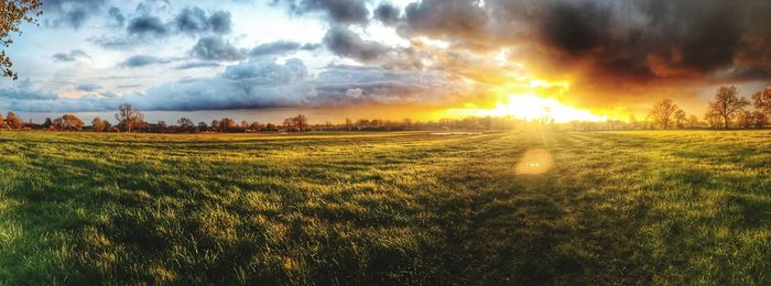 Scenic view of field against sky during sunset