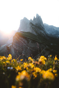 Scenic view of mountain against clear sky