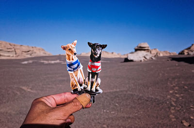 Cropped hand of person holding dog shaped toy against desert