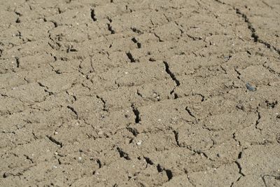 Full frame shot of cracked land