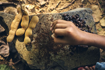 Close-up of hand holding rock