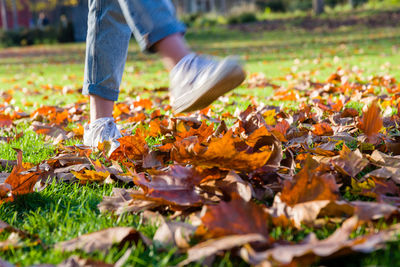 Low section of person with autumn leaves on field