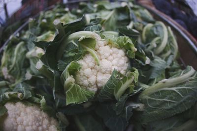 High angle view of vegetables