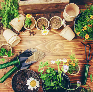 High angle view of food on table