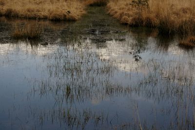 Scenic view of lake