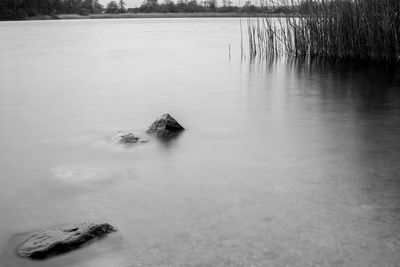 Scenic view of lake