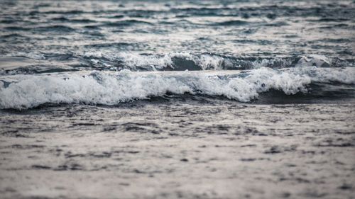 Waves swimming in sea