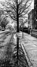 Snow covered road along bare trees in city