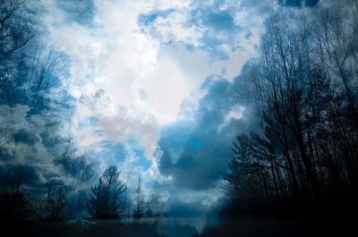 Bare trees against cloudy sky