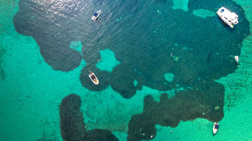 High angle view of people swimming in sea