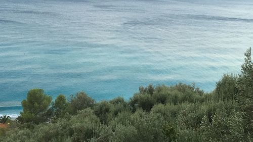 High angle view of trees and sea against sky