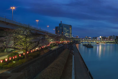 Light up of hanami cherry blossoms trees at sumida park with river at night.