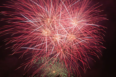 Low angle view of firework display at night