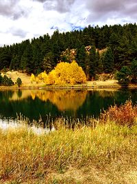 Scenic view of lake by trees against sky