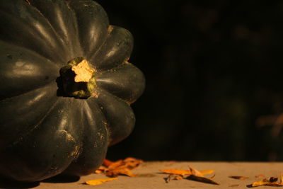 Close-up view of pumpkin