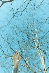 Low angle view of bare tree against clear sky