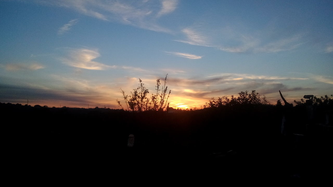 SCENIC VIEW OF SILHOUETTE TREES AGAINST SKY DURING SUNSET