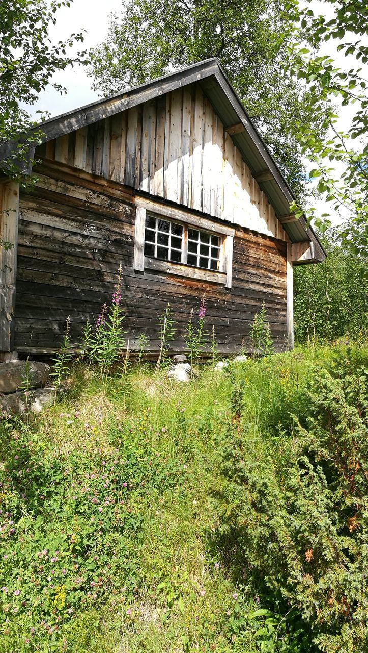 building exterior, architecture, built structure, grass, house, plant, growth, old, green color, residential structure, day, grassy, no people, outdoors, run-down, nature, deterioration, sky