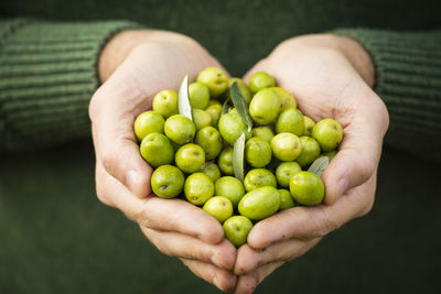 Close-up of hand holding olives