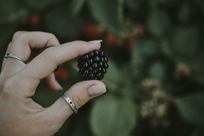 Midsection of woman holding fruit