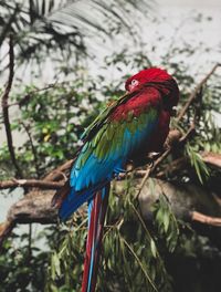 Bird perching on a branch