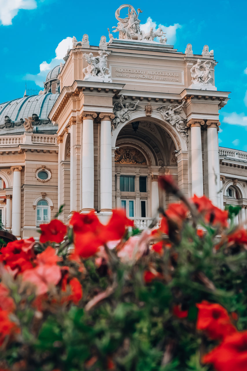 LOW ANGLE VIEW OF RED FLOWERING PLANTS IN CITY