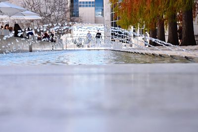 Group of people in swimming pool