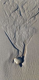 High angle view of footprints on sand at beach