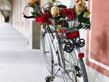 Red flower in bicycle basket parked by wall