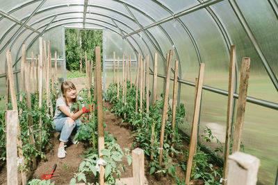 Young female loosening earth with rake under cucumbers at greenhouse