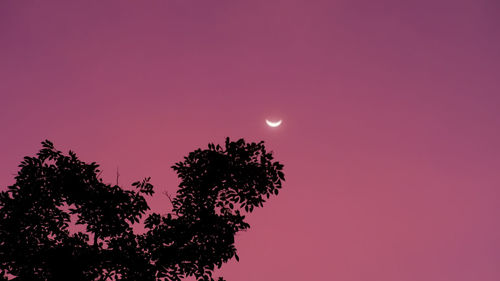 Low angle view of silhouette tree against sky at sunset