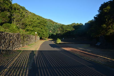 Road amidst trees against sky