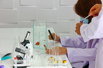 Midsection of scientist performing experiment in laboratory