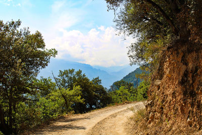 Dirt road amidst trees and plants against sky