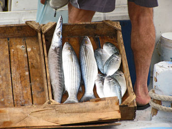 Low section of man standing by fish in wooden crate for sale at market