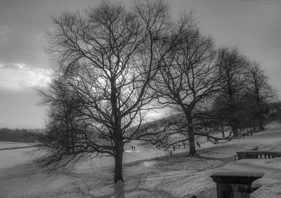 Bare trees on snow covered landscape