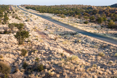 High angle view of road amidst trees on field