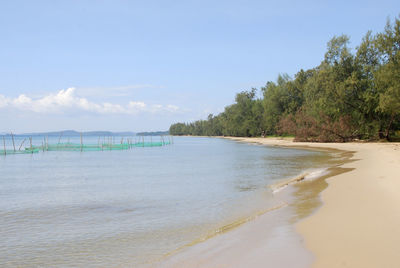 Scenic view of beach