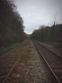 Railroad track amidst trees against sky